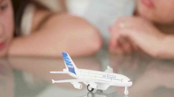Taxe schimbare data bilet de avion Animawings