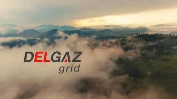 Delgaz Grid Satu Mare - telefon contact deranjamente