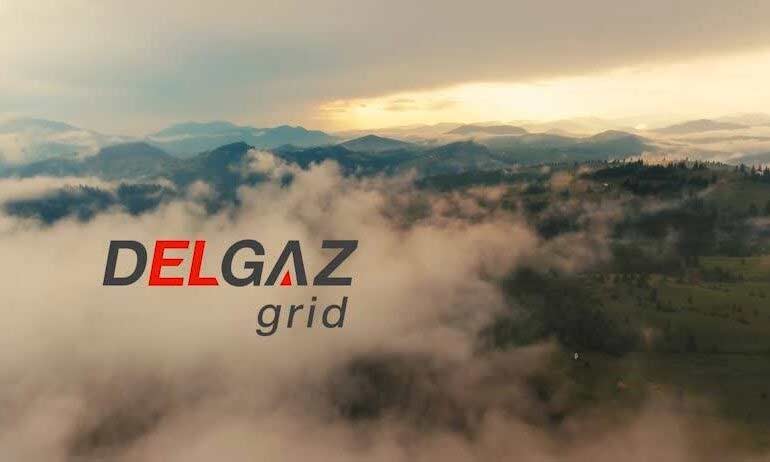 Delgaz Grid alba