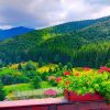 Preturi cazare in Bran