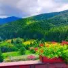 Preturi cazare in Bran