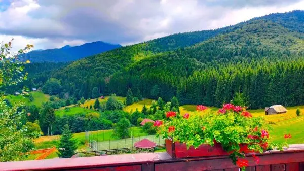 Preturi cazare in Bran